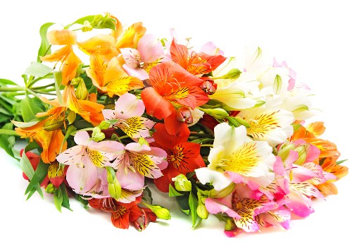 Peaceful sympathy flower bouquet