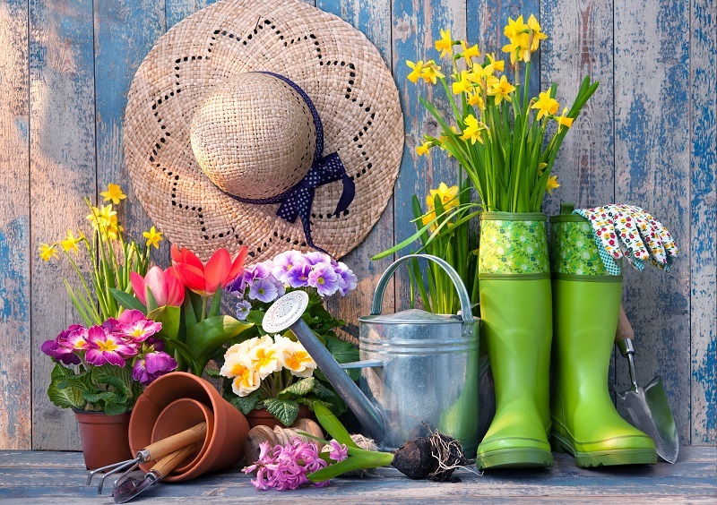 See Why Flowers Are Essential for a Happier, More Balanced Life